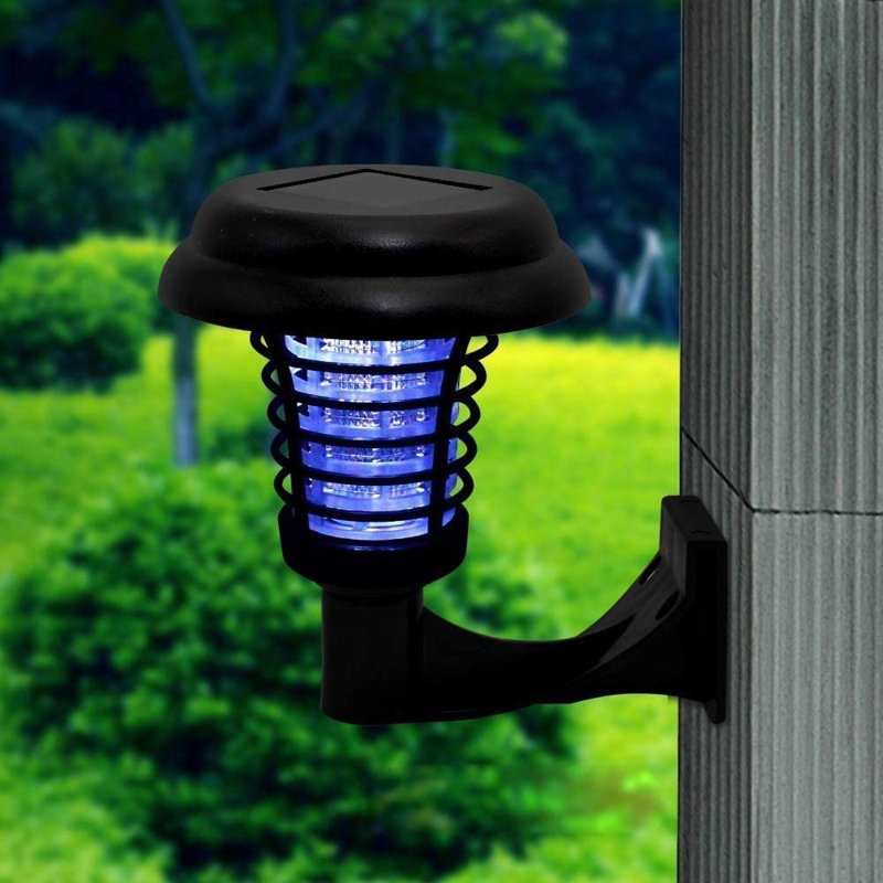 Ana-Veronica Black Solar Powered Integrated LED Pathway Lights Pack