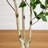 72'' Faux Birch Tree in Pot Liner