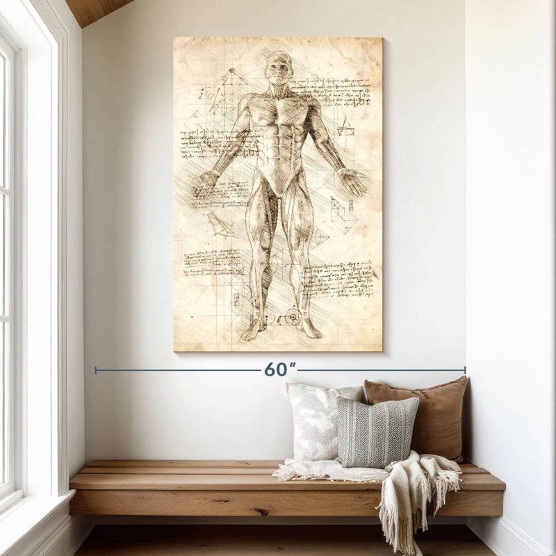 Keiri Human Muscles Anatomy, 51" H x 34" W