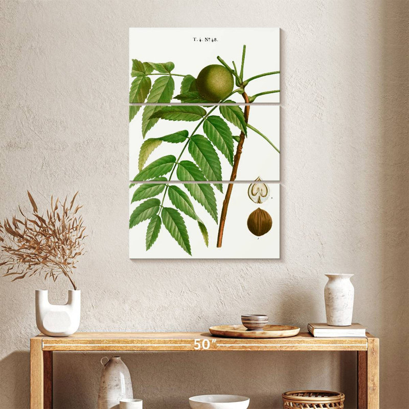 Nègre noir Keiri Juglans, H 38 po x l 24 po