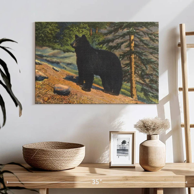 Brampt Black Bear
