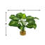 Faux Hosta Plant in Glass Vase