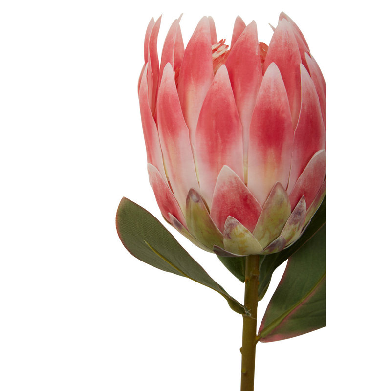 Fiori Protea Arrangement