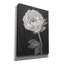«Flowers 2» par Ethan Harper, art mural sur toile-1854033138