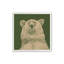 Reproduction d'art «Kodiak Bear» par Andrew Henry-1134343555-1134343549