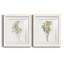 «Farmhouse Pressed Flower I», ensemble de 2 impressions-1472801478-1472801473