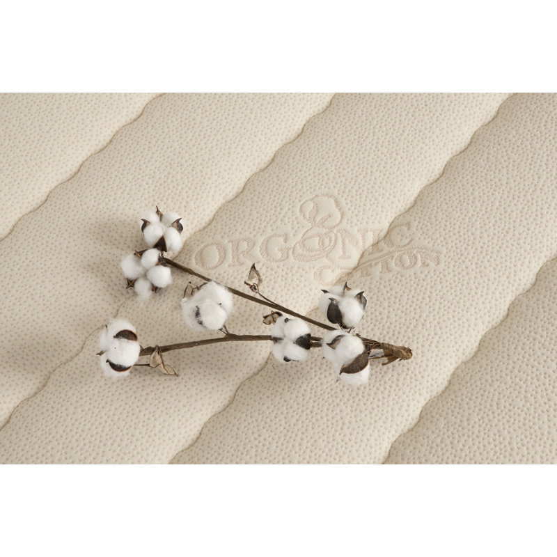PlushBeds Botanical Bliss Medium-Firm Organic Latex Mattress, Twin, 9"