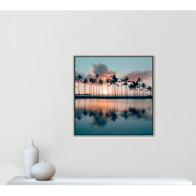 «Big Island Palms» par Danita Delimont