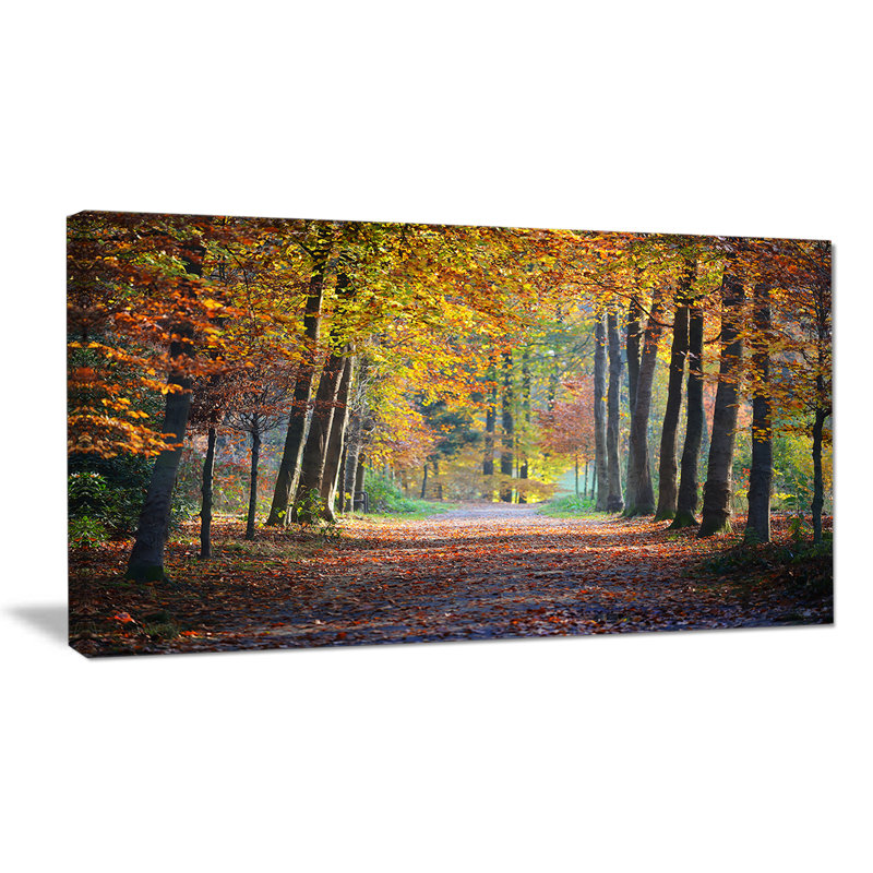Wide Pathway in Yellow Fall Forest - Photograph Print, 16" H x 32" W x 1" D, Wrapped Canvas