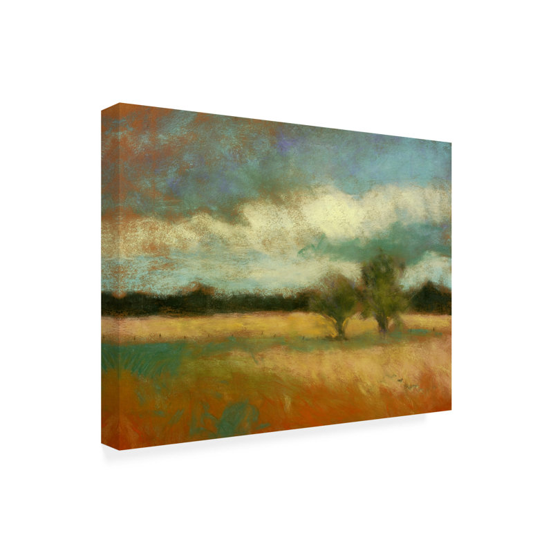 Art sur toile Dorothy Fagan Clearingthemeadow, H 14 po x l 19 po