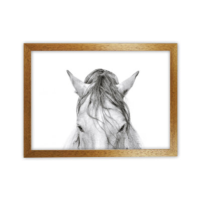 Horse II 1 Piece Wall Art