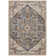 Hodder Oriental Indoor Rug