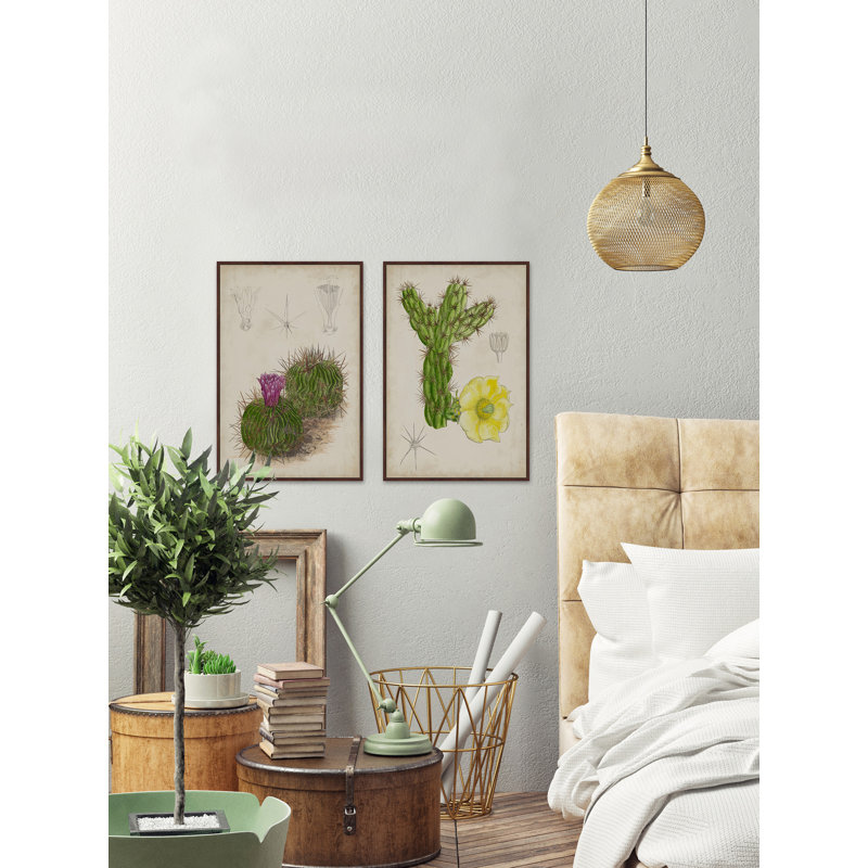 « antique cactus iii », ensemble de 2 reproductions de dessins encadrées sur toile, H 24 po x l 16 po x L 1,5 po