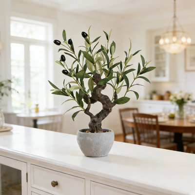 20" Artificial Olive Bonsai Tree With Lifelike Leaves In Planter, Faux Evergreen Plant In Decorative Pot