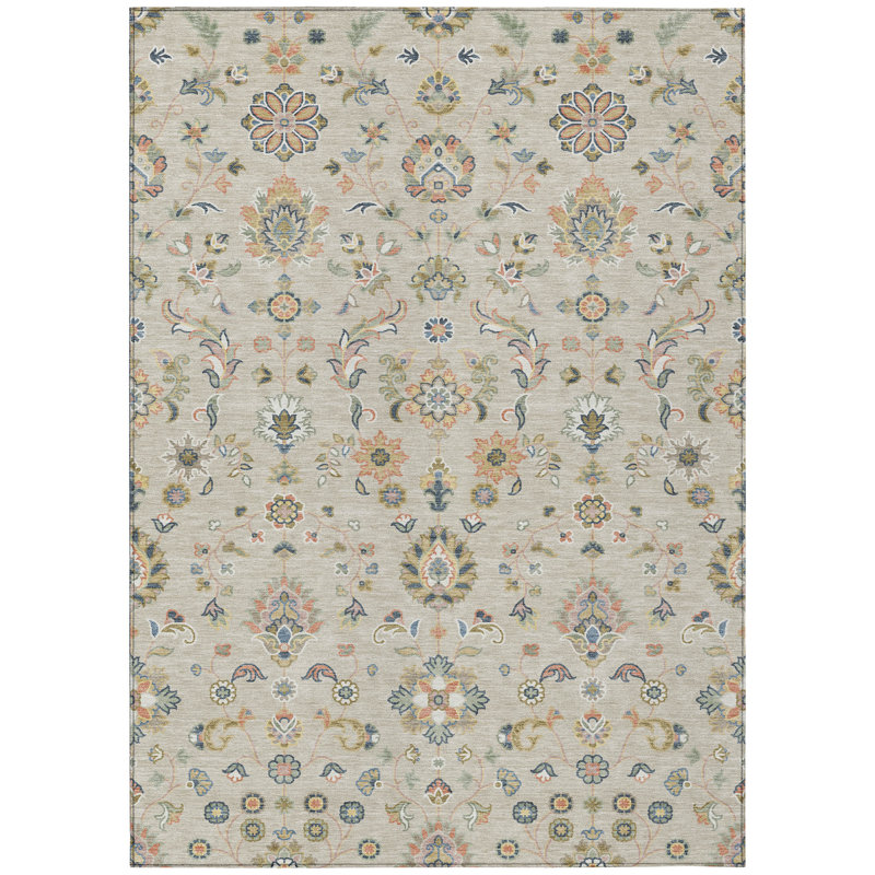 Machine Washable Indoor/Outdoor Chantille ACN2585 Traditional Rug, 8' x 10', Beige