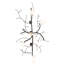 5 - Light Chandelier