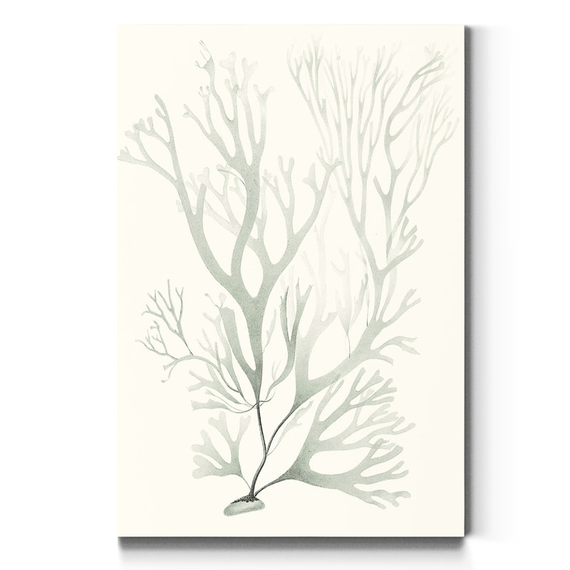 « Sauge Green algue V », reproduction d’art sur toile tendue, H 27 po x l 18 po x P 1 po