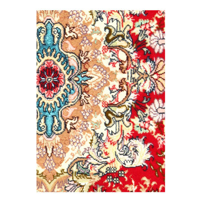 Mehronisha Oriental Area Rug in Red