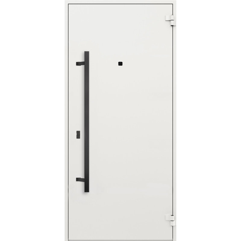 Porte avant en acier pré-suspendue à l'avant / deux en chêne naturel 6678 / entrée en métal peint moderne de l 36 po x H 80 po à gauche