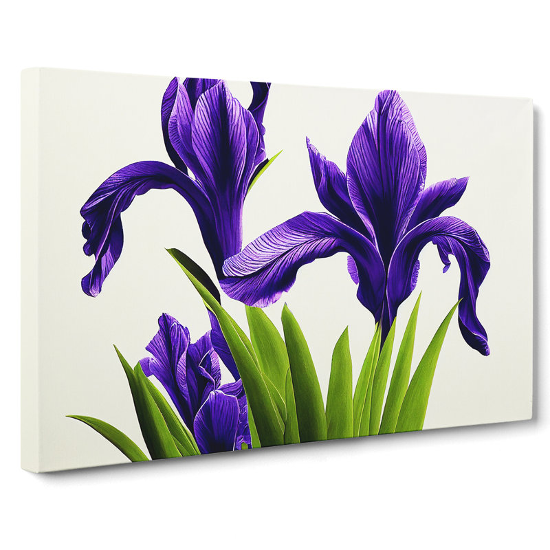 Spectacular Iris Flowers - Wrapped Canvas Painting, 35cm H x 50cm W x 3cm D