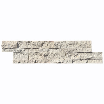 Panneau de mosaïque 6X24 Fossil Stone