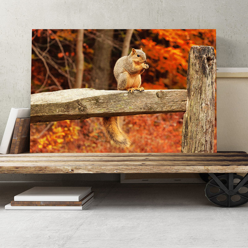 Squirrel Autumn Forest Photographic - Wrapped Canvas, 50cm H x 76cm W