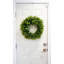 Couronne de plastique eucalyptus 21 po