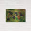 «Blackberries» par Bill Makinson-436989039