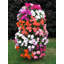 Pot Planter-14033568