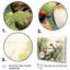 Birds of Spring II - 3 pièces, reproduction sur toile tendue-1888090357