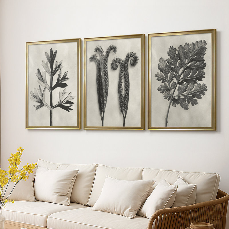 Blossfeldt Botanical I - Toile tendue avec châssis sur mesure - 3 pièces, H 21 po x l 30 po, Doré