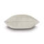 Brayden Square Pillow Cover & Insert