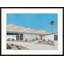 Accent Of Palm Springs 1 Print by Christopher Kennedy