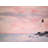 " Cotton Candy " by Ed Capeau-1551366666-1551366660-1551366657