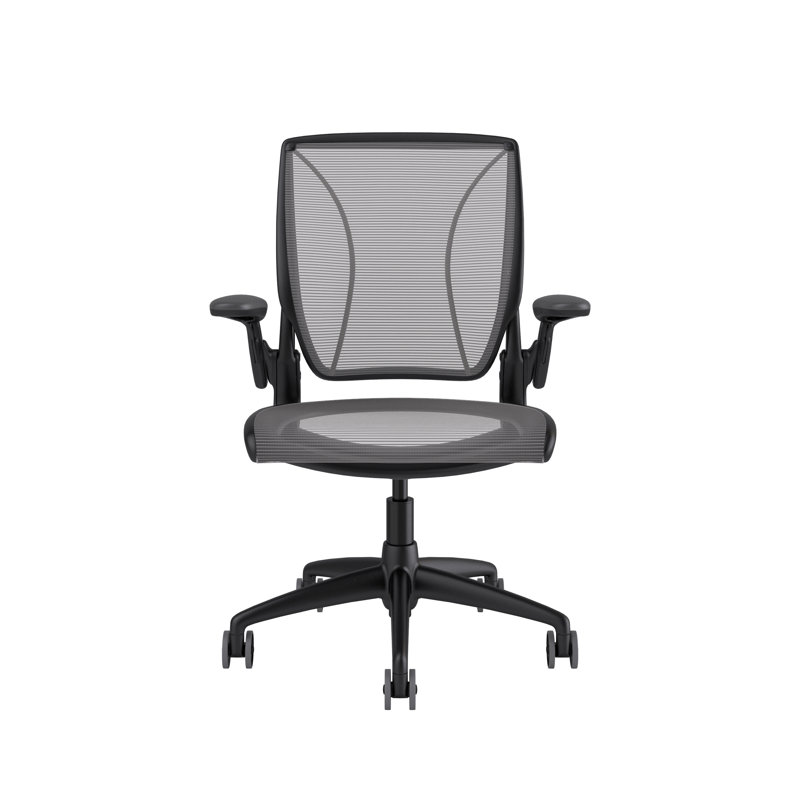 World Task Chair, Silver, Adjustable, Black