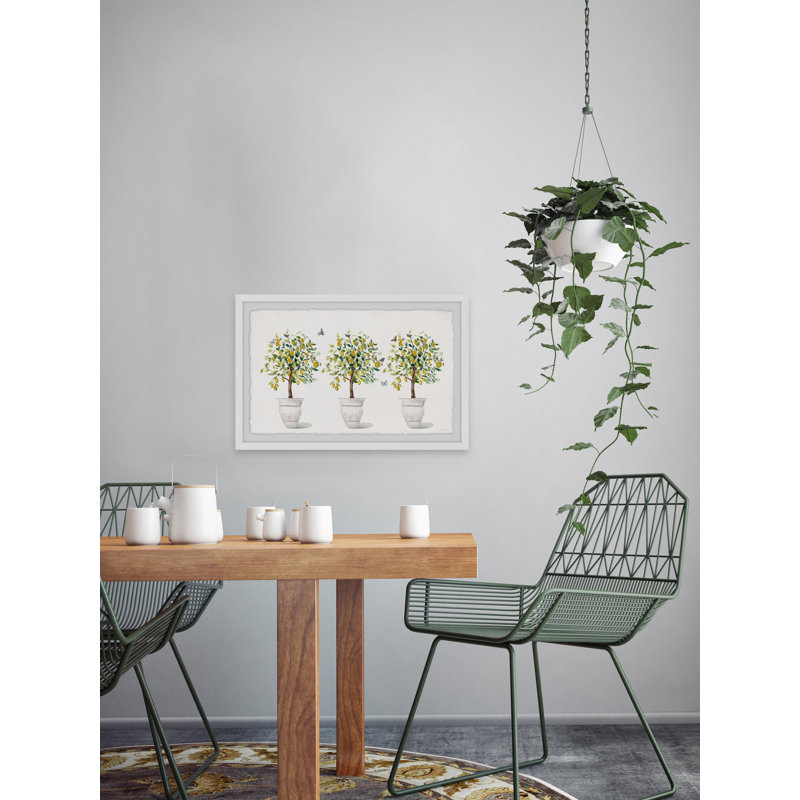 Tree In A Pot by Parvez Taj - Single Picture Frame Painting, 41cm H x 61cm W x 3.81cm D