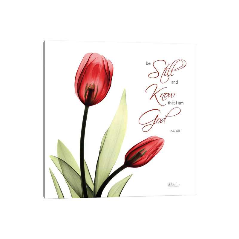 Be Still Tulip by Albert Koetsier - Wrapped Canvas Painting, 30.48cm H x 30.48cm W x 1.91cm D