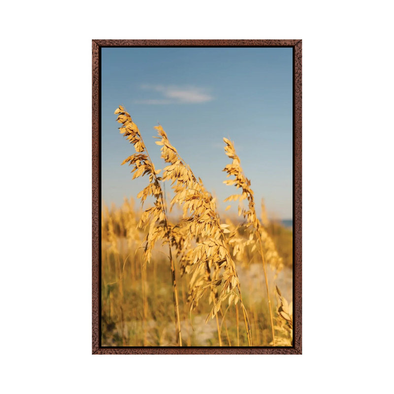 Hilton Head Island III by Bethany Young - Print on Canvas, Classic Brown Wood Framed, 66.04cm H x 45.72cm W x 3.81cm D