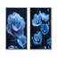 Ensemble de 2 pivoines bleues et noires Noirurnal Nirvana I - pivoines-784758853-784758873-784758875