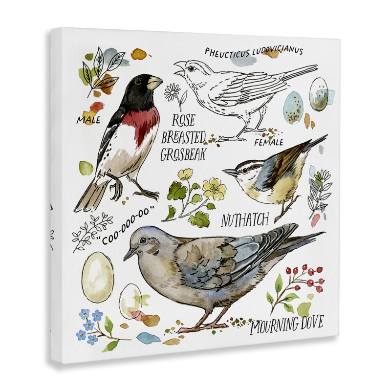 Art mural sur toile, "Bird regardant" par Jane Maday, H 30 po x l 30 po