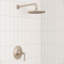 Robinet de douche Rhen-36758660
