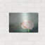 «Peony 03» par Lightbox Journal-882109640