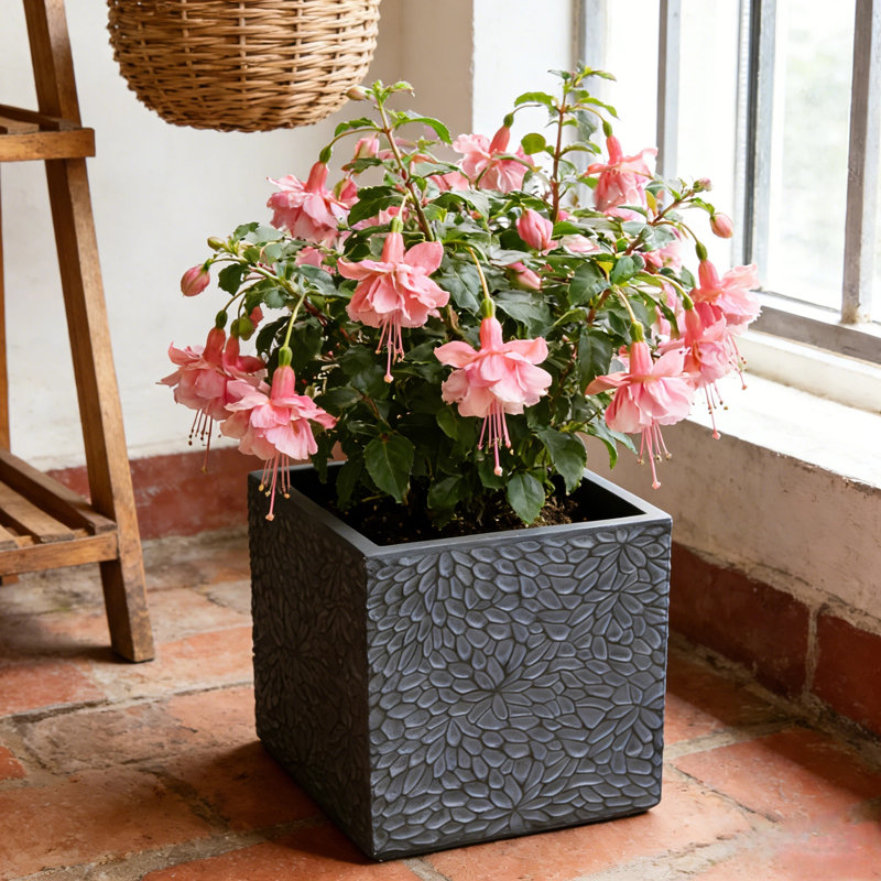Grand pot à fleurs d'intérieur de conception moderne de couleur grise