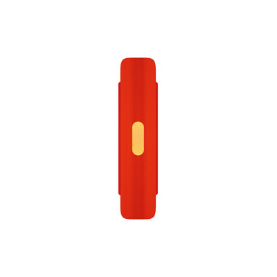 Lupe  Flush Mounted Sconce