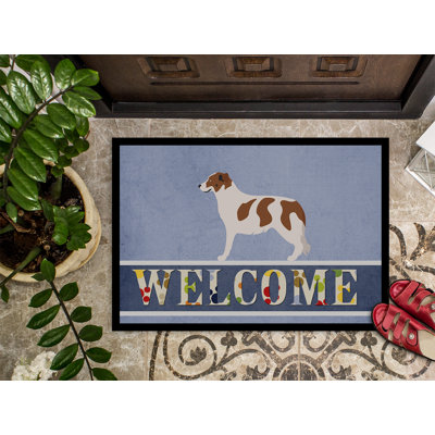 Tapis de porte d’extérieur anti-dérapant pour chien aidi atlas mountain