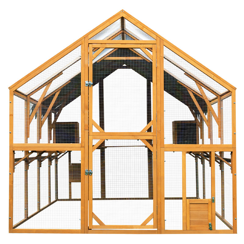 Enceinte d'extérieur pour chatons de 110 po, porte d'entrée avec accès facile, deux petites sorties, grillage galvanisé et verrous coulissants Grand espace de jeu, conception