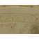 Moore Oriental Cream/Gold Area Rug
