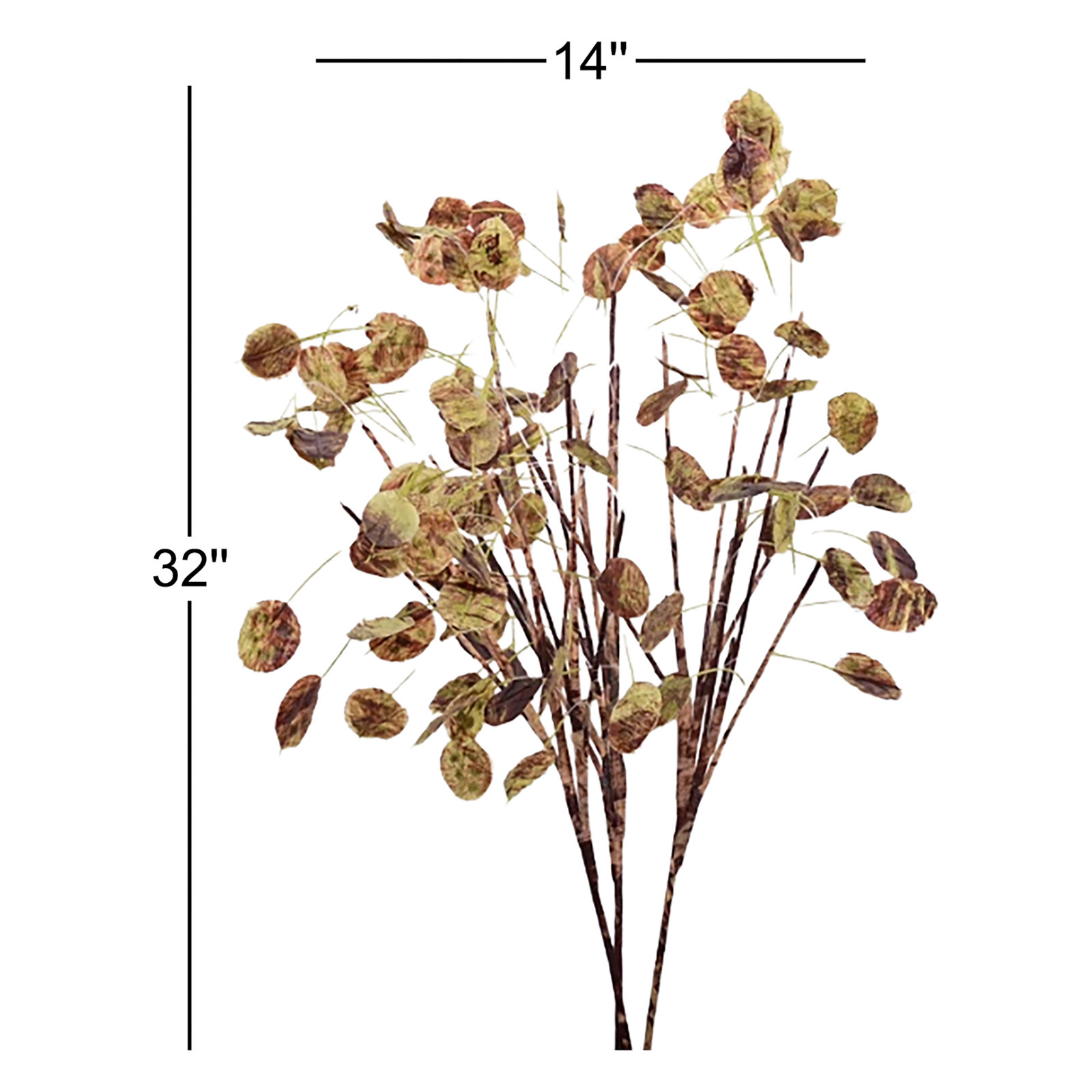 Fall Foliage Stems, Green
