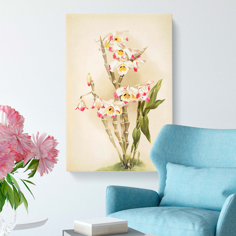 Magnolia Flowers Illustration Tab. 9 by Frederick Sander - Wrapped Canvas, 76cm H x 50cm W x 3cm D