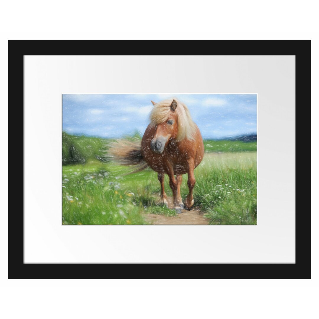 Gerahmtes Poster Shetlandpony auf der Wiese